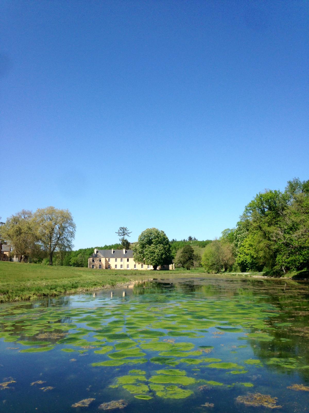Lampada Lava Con Effetto Glitter Oro - Altezza 40 Cm, Con Lampadina G9 Inclusa, Per Camera O Soggiorno