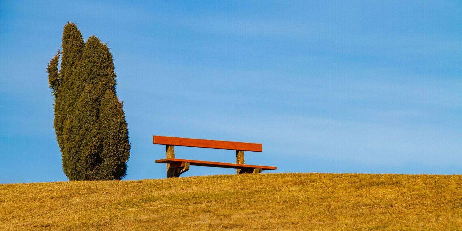 landscape-4839381_1920-1600×1067