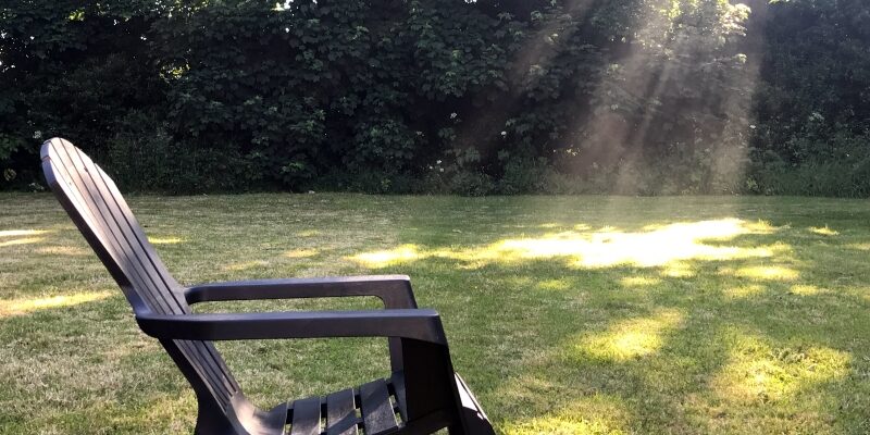 45bb3a4a-7866-4c4c-92df-2e227e162da0