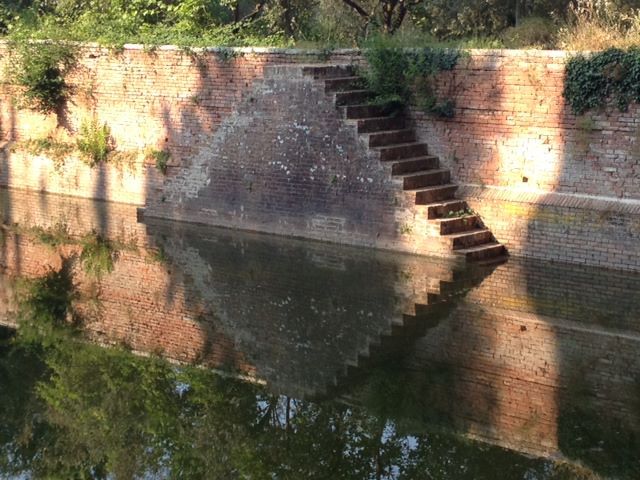 1010270_677325995617678_39817121_n3f06af