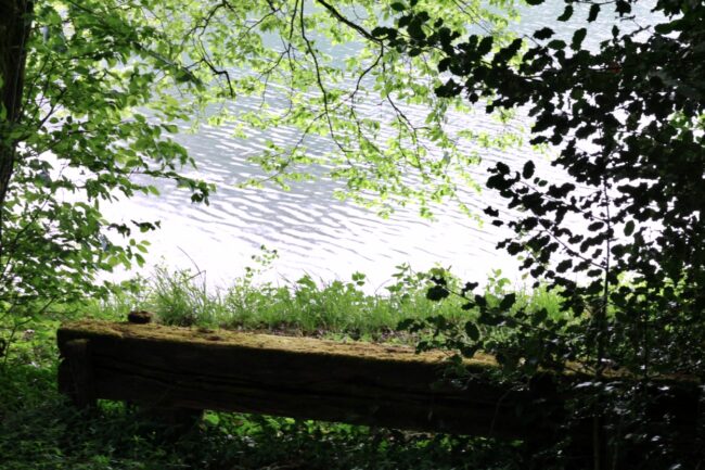 bylake